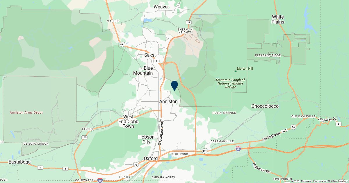 Anniston, Alabama — remote online notarization with Robin Nunn