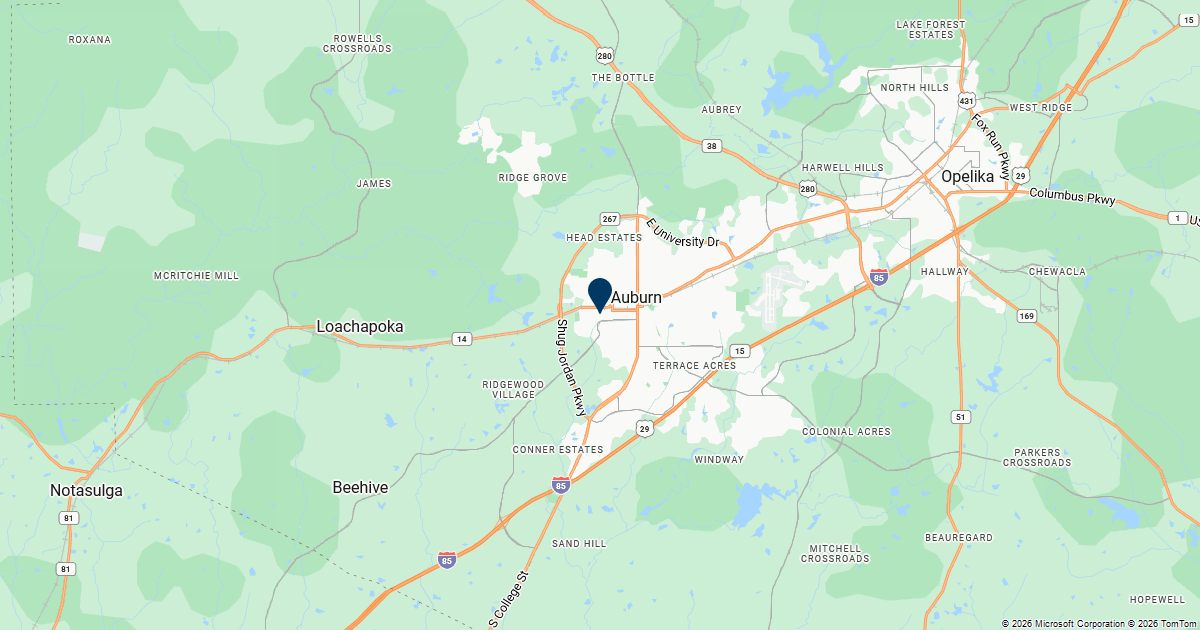 Auburn, Alabama — remote online notarization with Robin Nunn