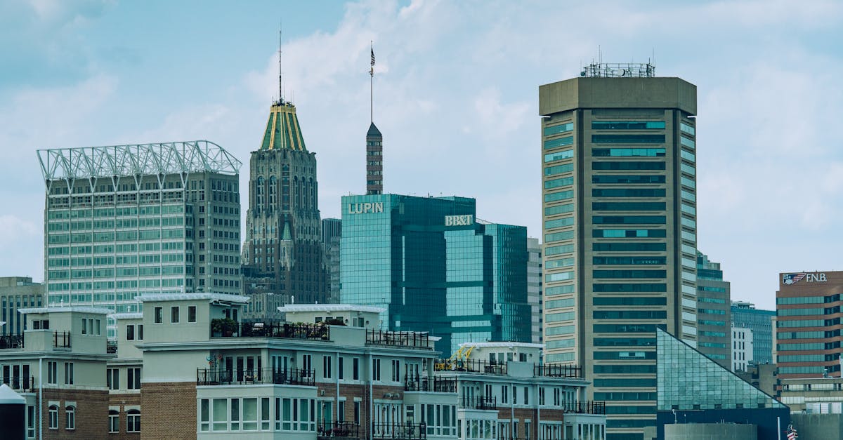 Baltimore, Maryland — remote online notarization with Robin Nunn