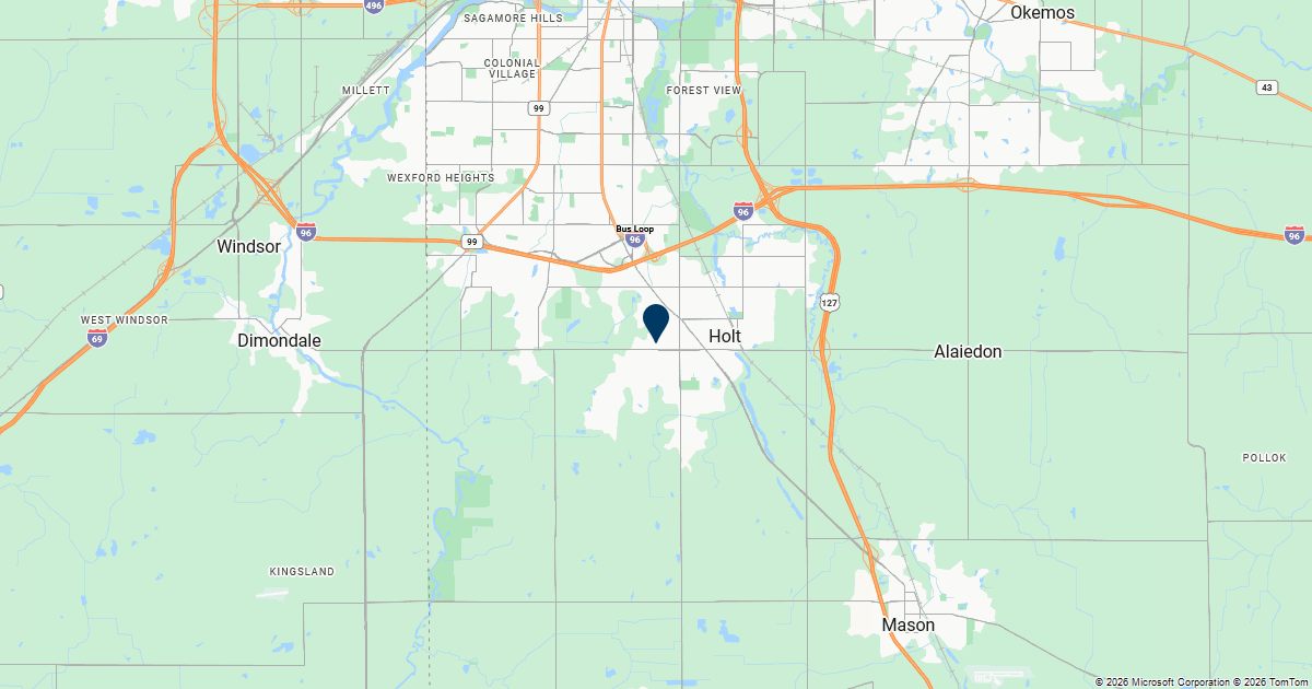 Holt, Michigan — remote online notarization with Robin Nunn