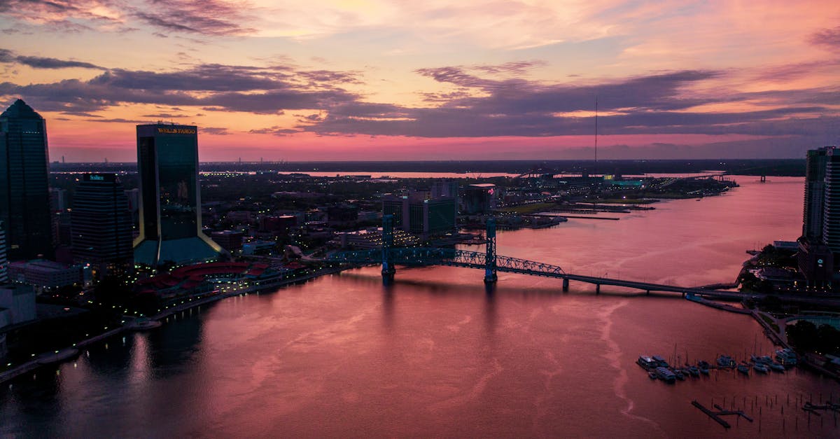 Jacksonville, Florida — remote online notarization with Robin Nunn