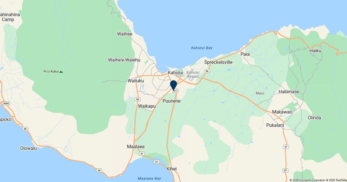 Kahului, Hawaii — remote online notarization with Robin Nunn