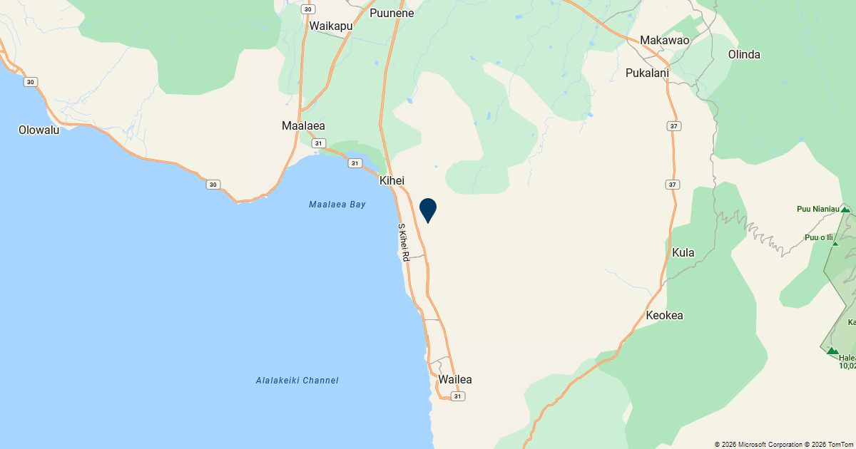 Kihei, Hawaii — remote online notarization with Robin Nunn