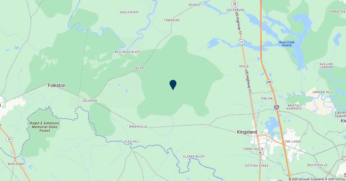 Kingsland, Georgia — remote online notarization with Robin Nunn