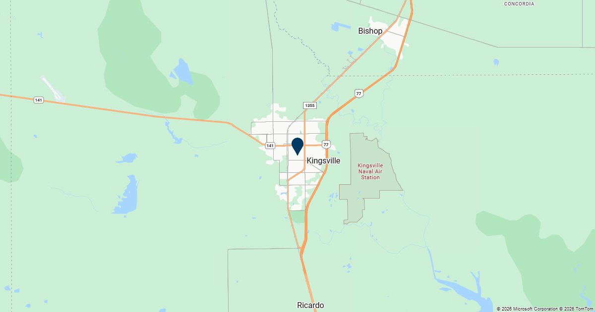 Kingsville, Texas — remote online notarization with Robin Nunn