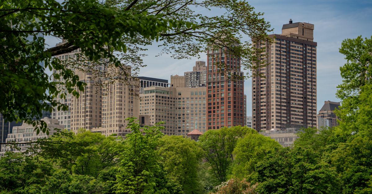 Little Rock, Arkansas — remote online notarization with Robin Nunn