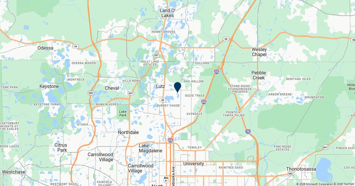 Lutz, Florida — remote online notarization with Robin Nunn