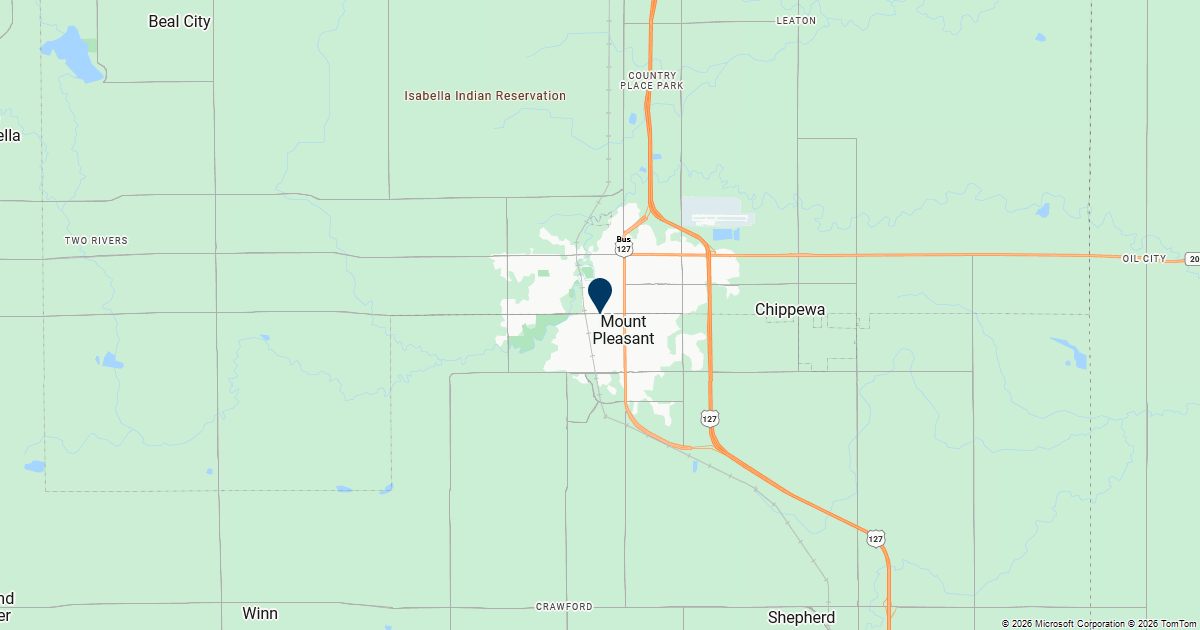 Mount Pleasant, Michigan — remote online notarization with Robin Nunn