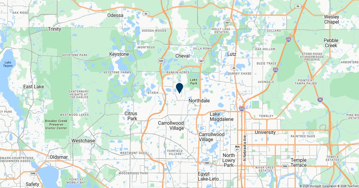 Northdale, Florida — remote online notarization with Robin Nunn