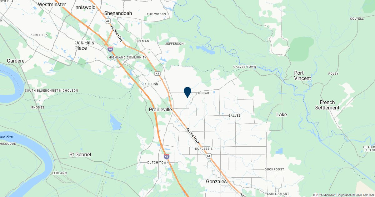 Prairieville, Louisiana — remote online notarization with Robin Nunn