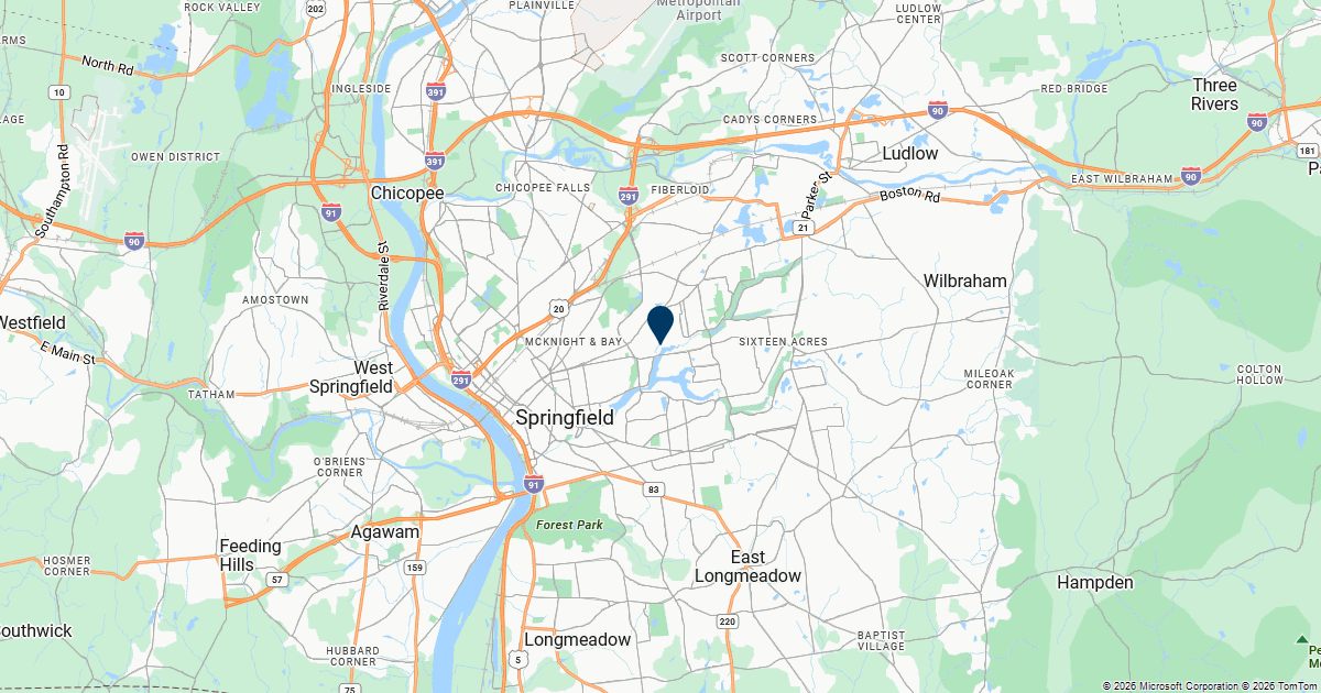 Springfield, Massachusetts — remote online notarization with Robin Nunn