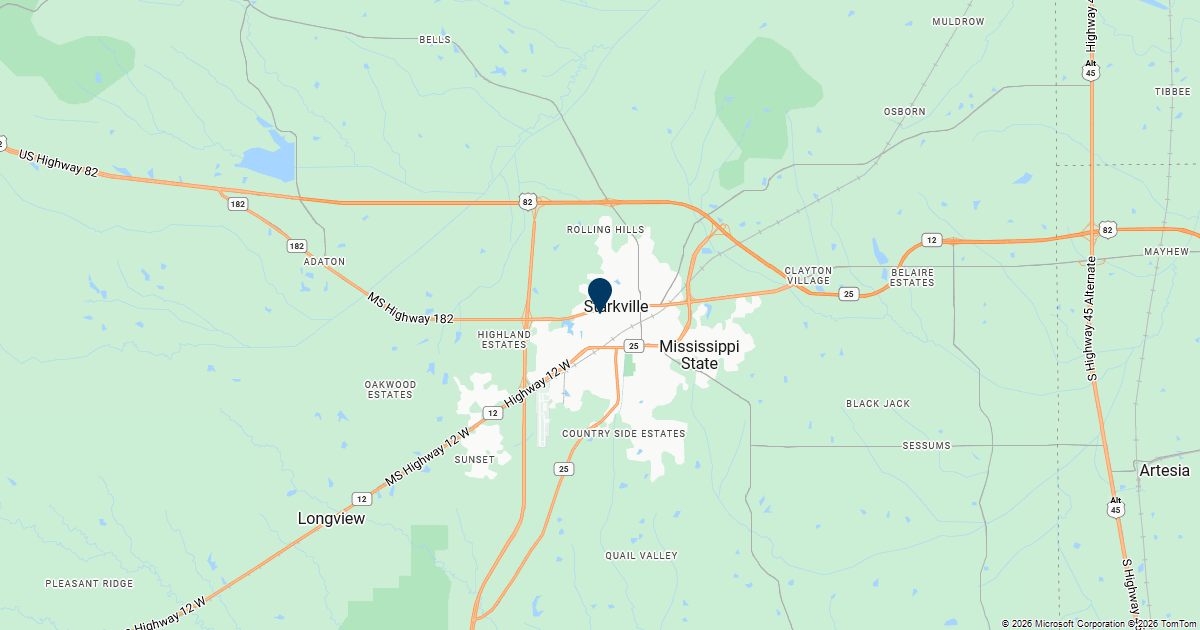 Starkville, Mississippi — remote online notarization with Robin Nunn