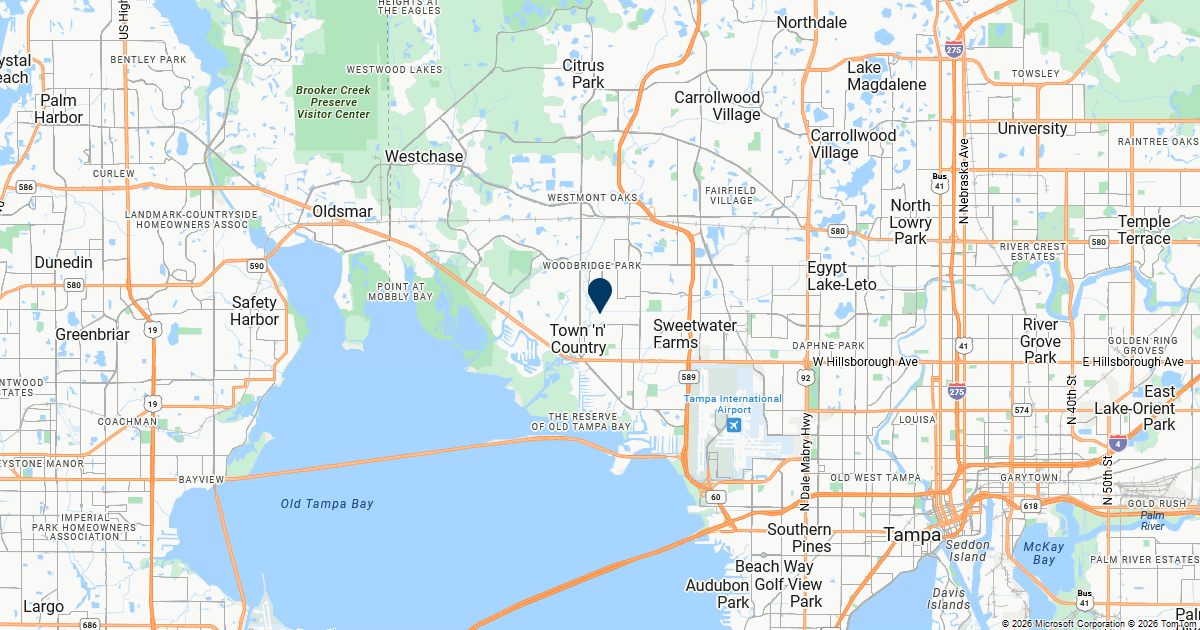 Town 'n' Country, Florida — remote online notarization with Robin Nunn