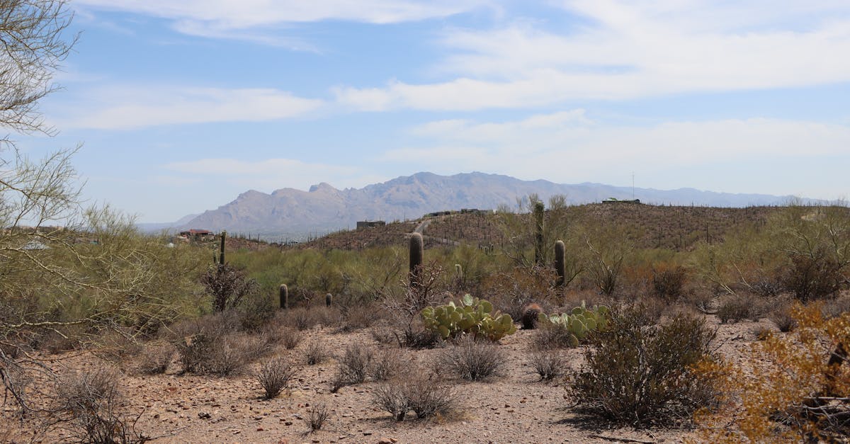 Tucson, Arizona — remote online notarization with Robin Nunn