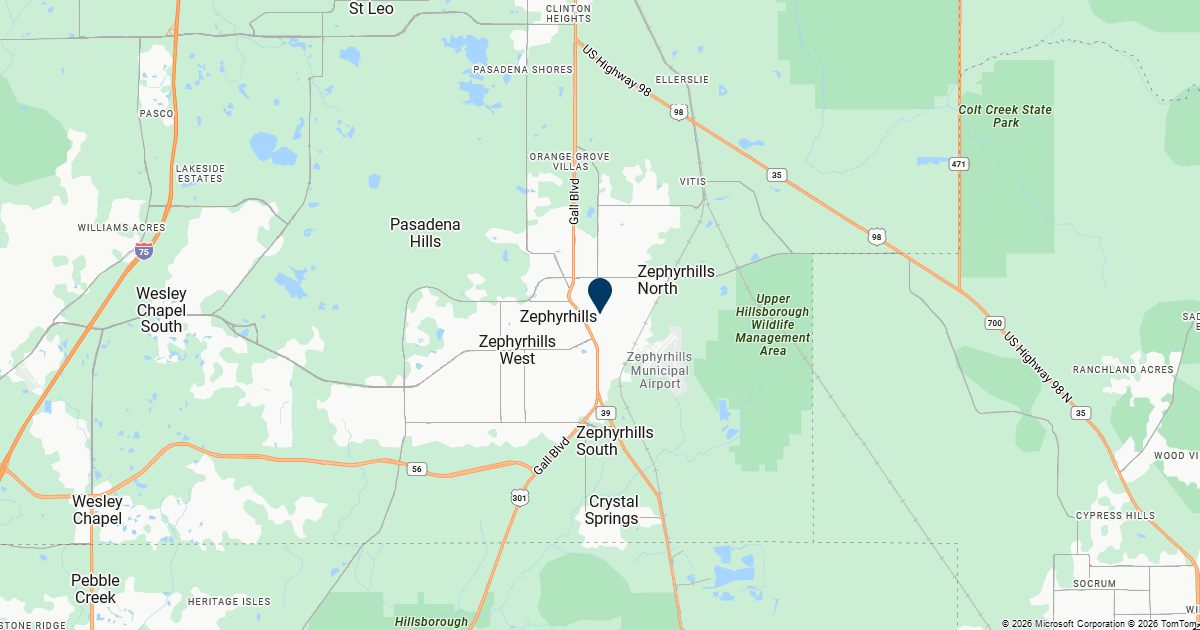 Zephyrhills, Florida — remote online notarization with Robin Nunn